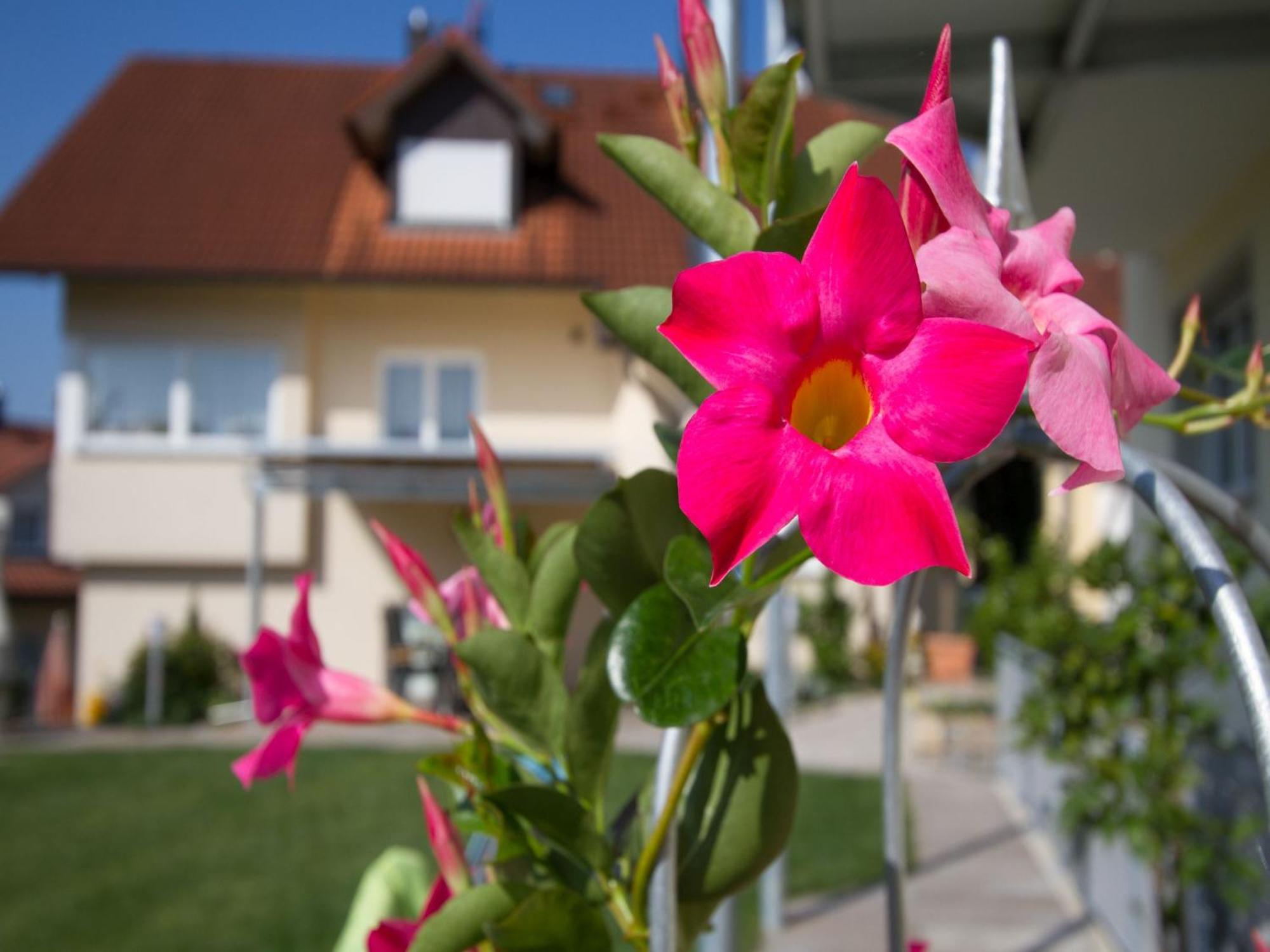 Obst- Und Ferienhof Witzigmann Вассербург Экстерьер фото